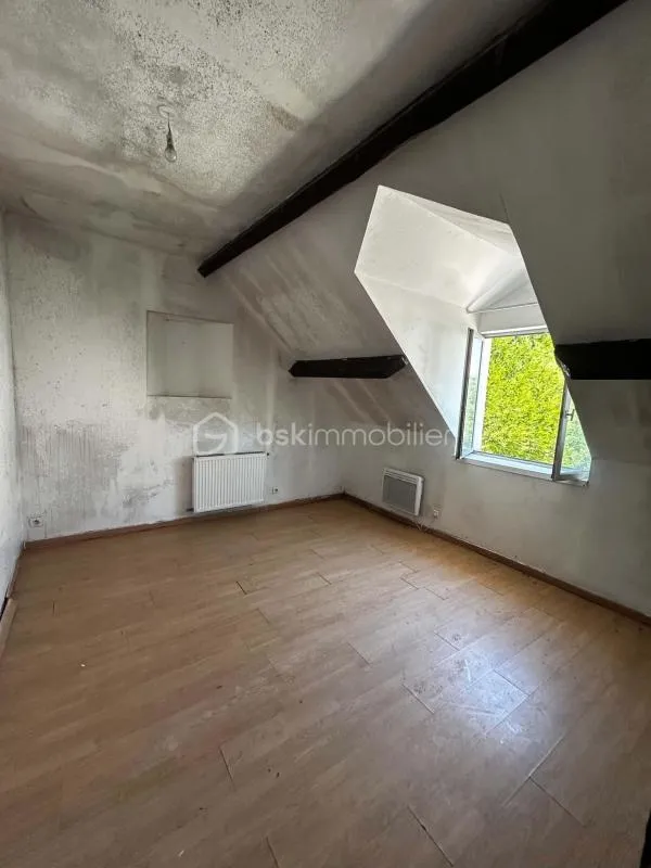 Toad - House with Potential in Méréville