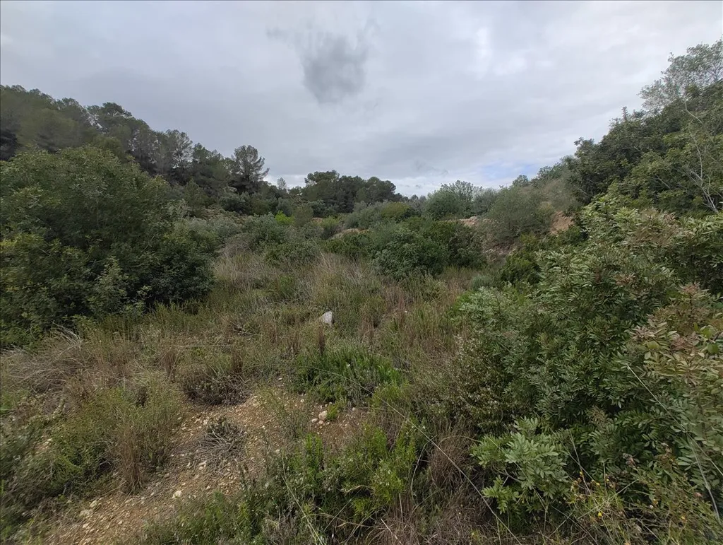 Jardin - Rustic Land with Vineyard in La Llosa de Ranes