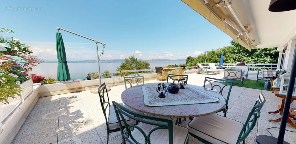 terrace_patio