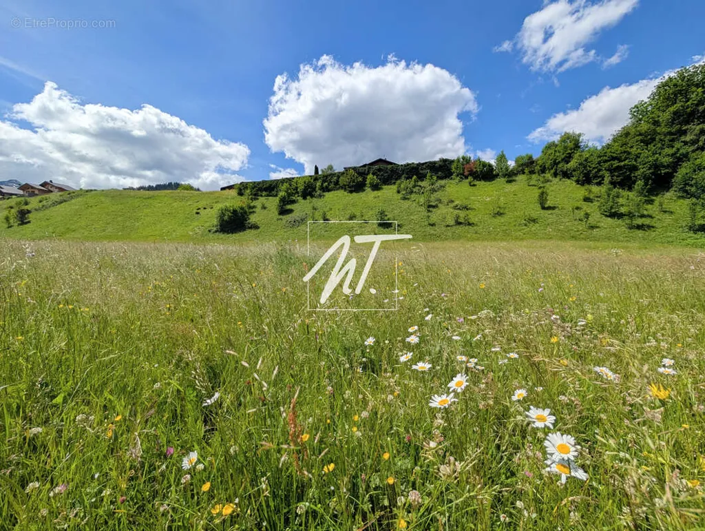 Aed - Buildable Plot in Quiet Hamlet, Montriond