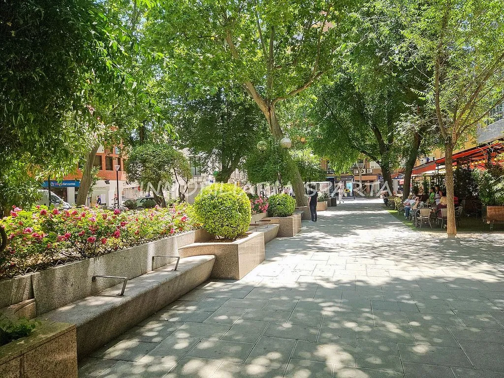 Charming Duplex with Terrace in City Centre
