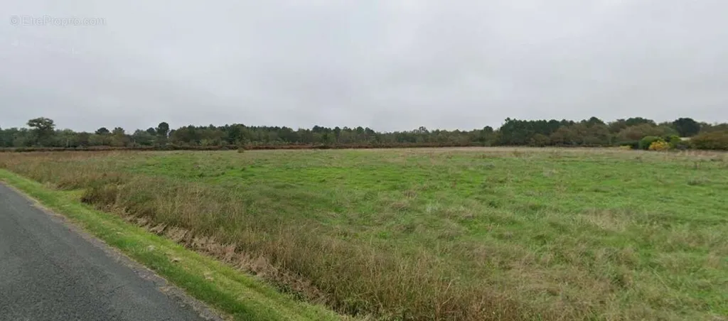 Giardino - 4,400 m² Plot in Pompéjac, Gironde