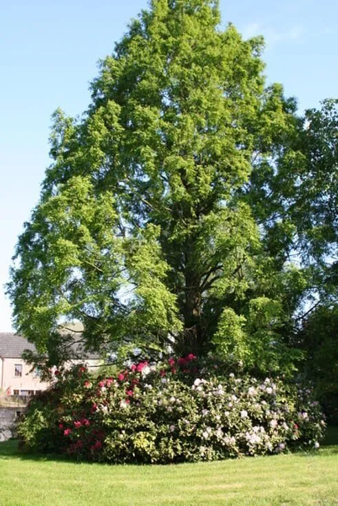 6 magamistoaga maja asukohas Nivelles