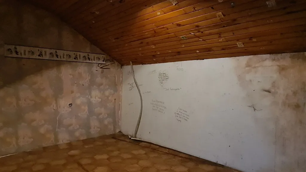 Toad - Renovation Project House with Solar Panels in Kortessem