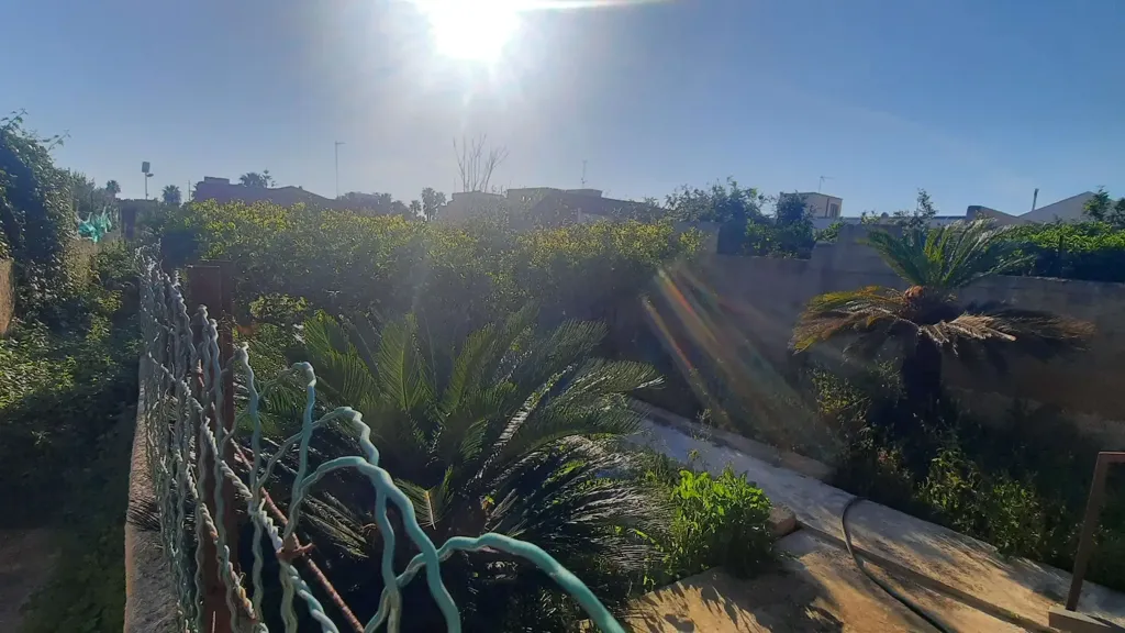 Giardino - Casa indipendente con giardino a Marsala