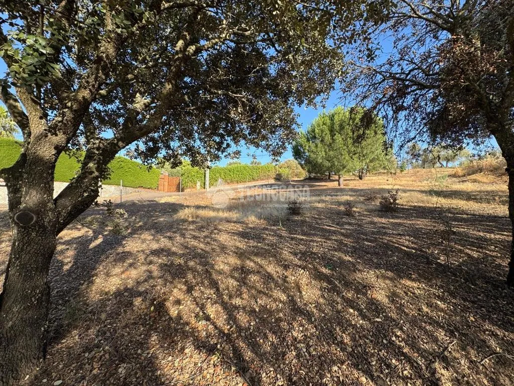 Aed - Rustic Land with Potential in Badajoz