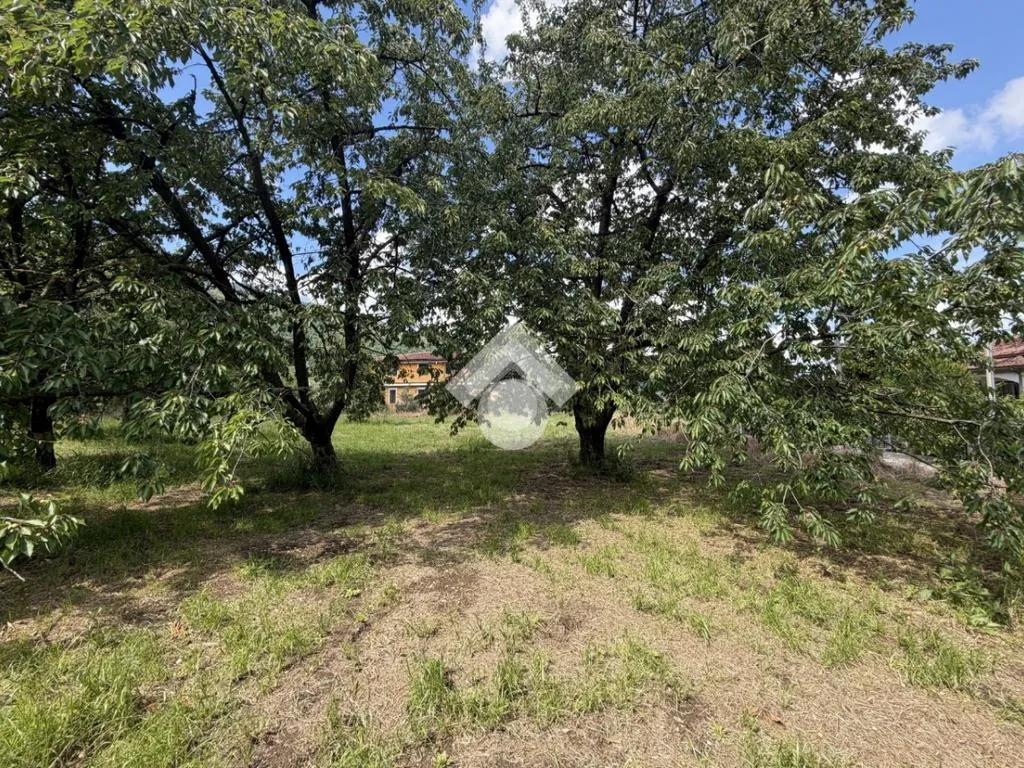 Jardin - Agricultural Land with Cherry Trees in Cervinara