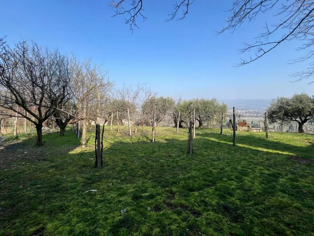 Jardin - Rustic House with Panoramic Views in San Pietro in Cariano