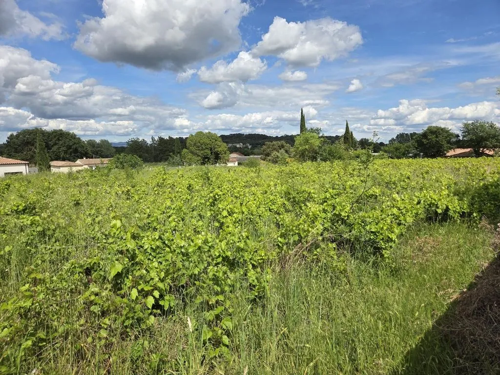 Jardin - Villa de luxe avec piscine près d'Anduze