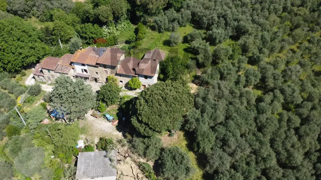 Vue aérienne - Tuscan Hamlet with Olive Groves in Vinci