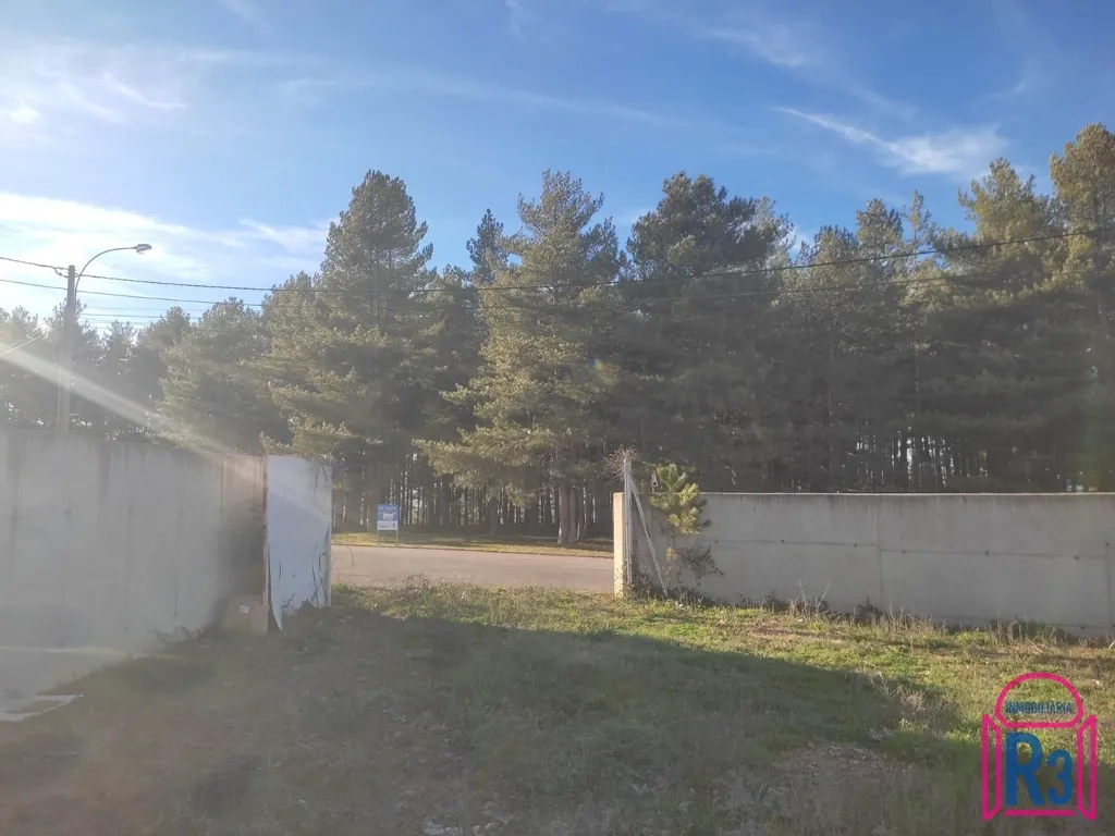 Garden - Corner Land Plot in Las Lomas