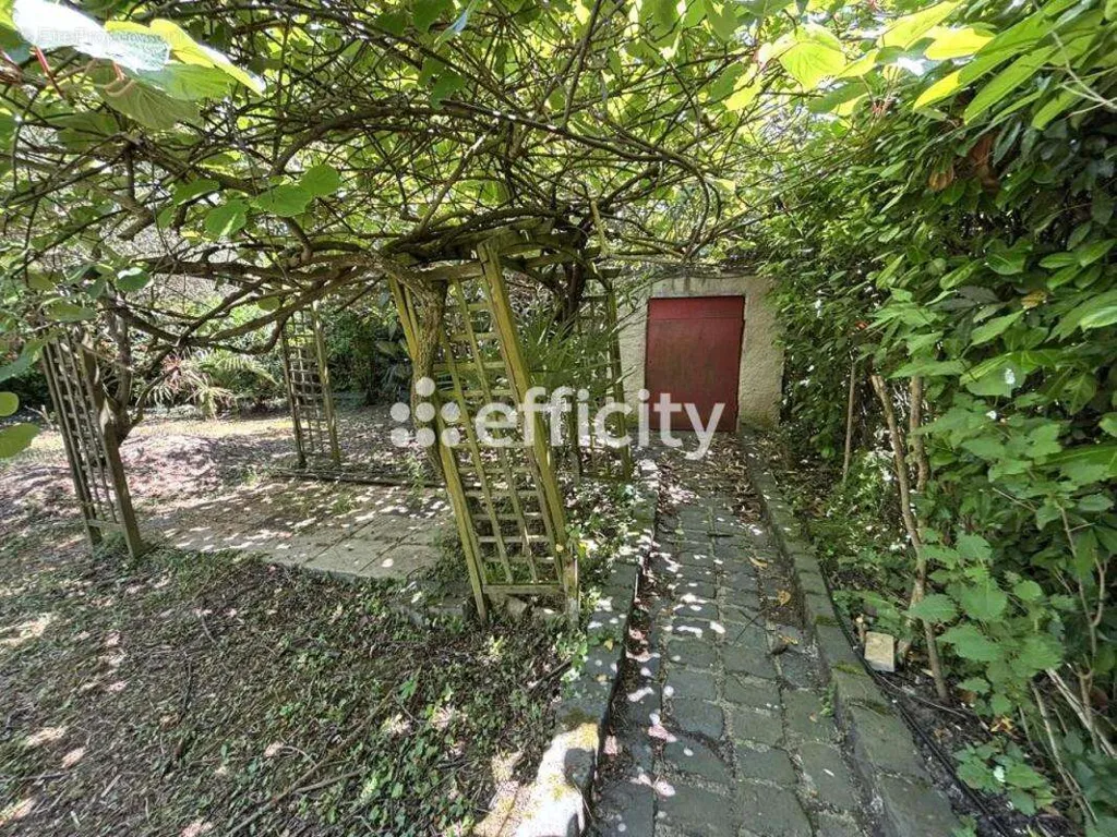 Jardin - Grande Villa avec Piscine à Bédarieux