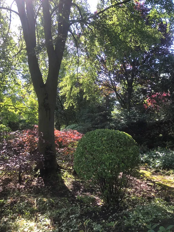 Aed - Charming Villa with Parkland Views in Maasland