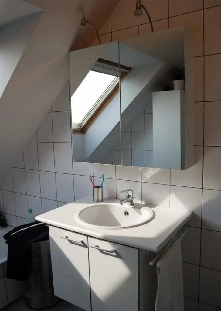 Vannitoad - Spacious Duplex Apartment in Kortenberg