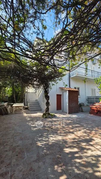 Jardin - Trilocale with Private Courtyard in Praia a Mare