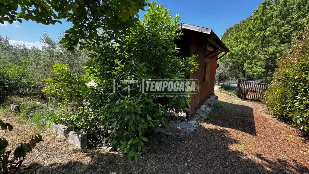 Jardin - Terraced Villa with Garden in Chieti