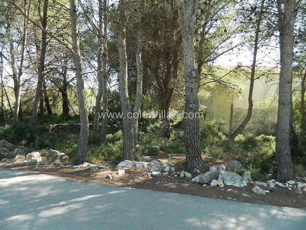 Giardino - Rustic Farmhouse with Terrace in Teulada