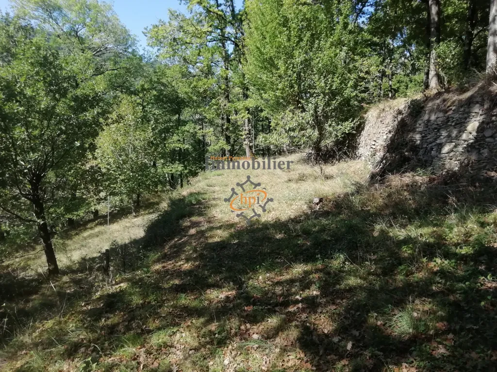Garden - Leisure Plot with Mobilhome in Plaisance