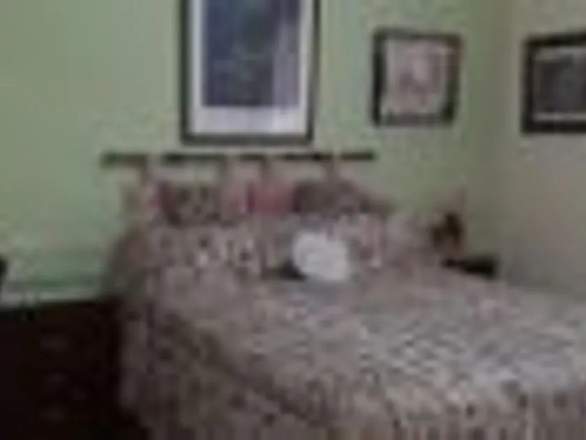 Chambres - Amueblado Apartment with Terrace in Sotogrande