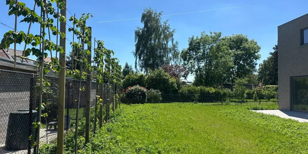 Jardin - Nouvelle Construction avec Carport à Sleidinge