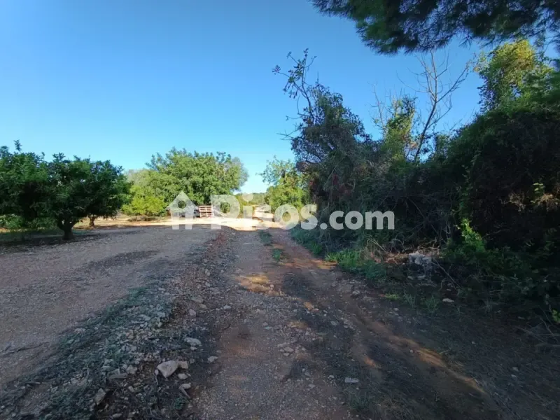 Aed - Rustic Finca with Garden near Càlig