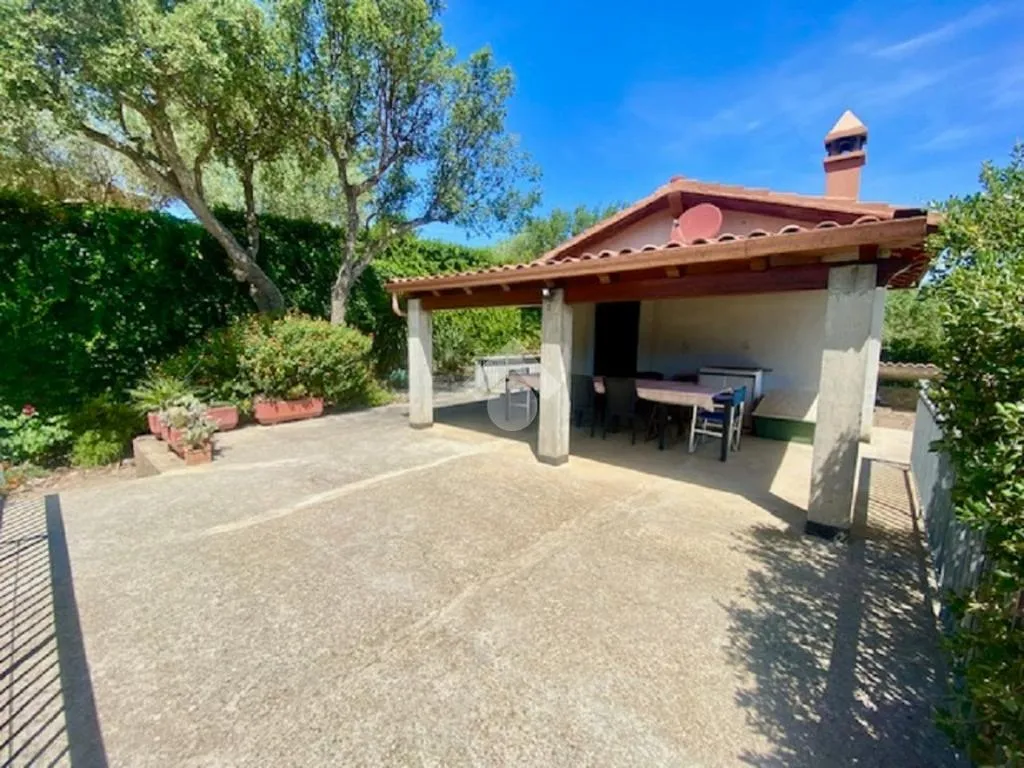 Terrazza - Rustico with Olive Grove in Alghero
