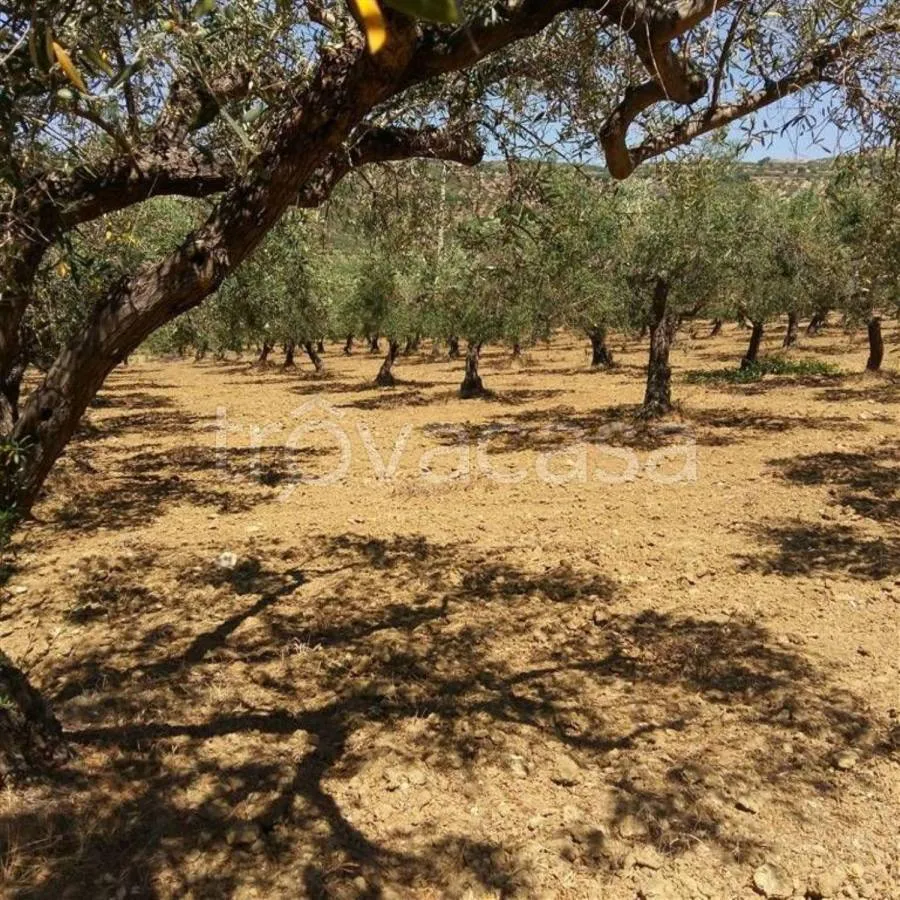 Jardin - Rustic Casale with Olive Grove in Sciacca