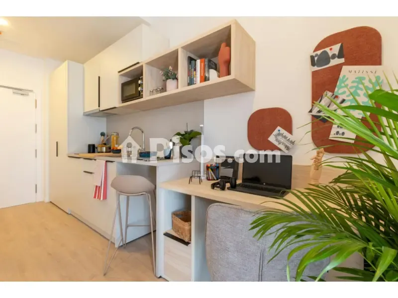 Cuisine - Student Accommodation with Pools in Seville