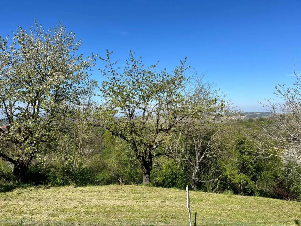 Giardino - Rustic Villa with Private Garden in Montà