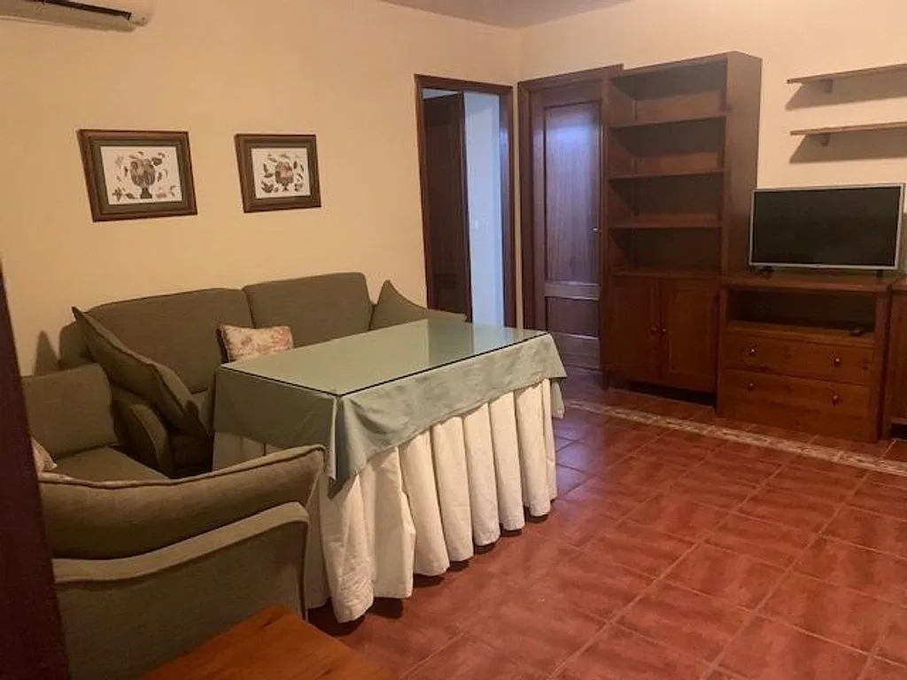 Séjour - Furnished Flat with Terrace in Bami - Tabladilla