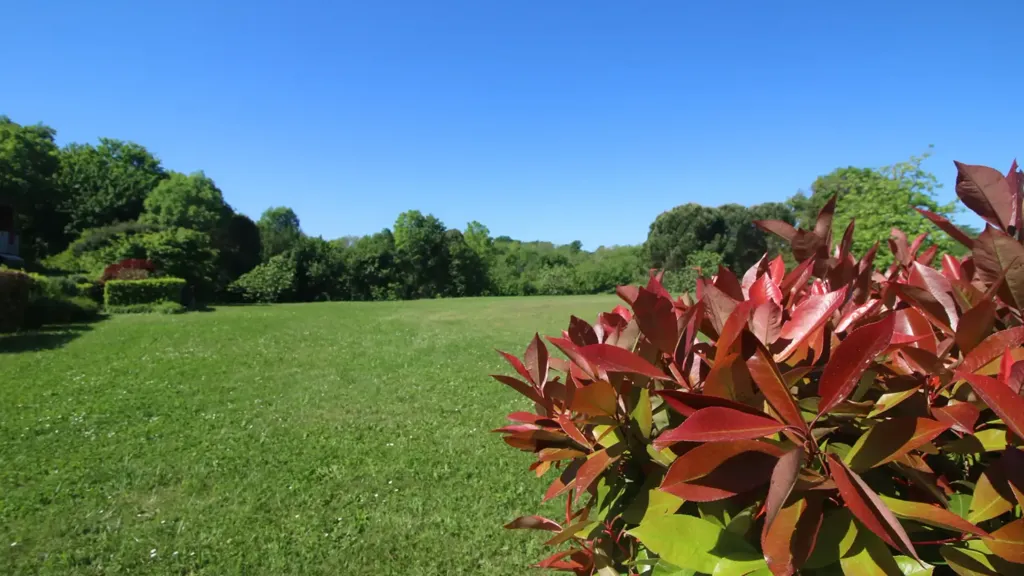 Giardino - Semi-detached Villa with Private Garden in San Fermo