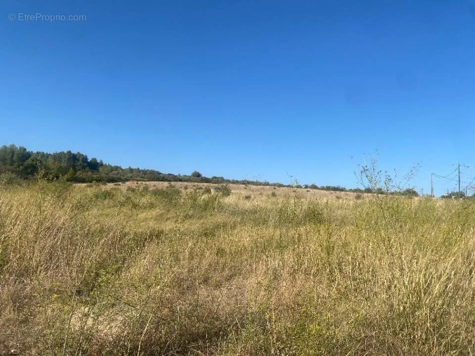 Jardin - Terrain avec Jardin à Portel-des-Corbieres