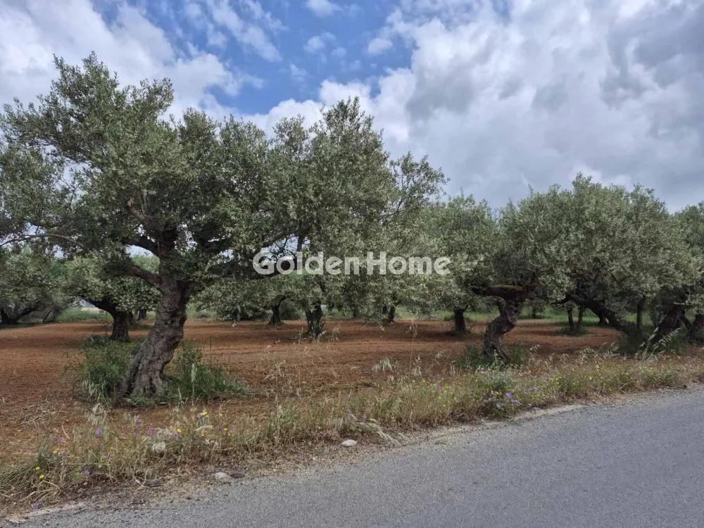 Aed - Buildable Plot with Airport Proximity in Minóa Pedíados