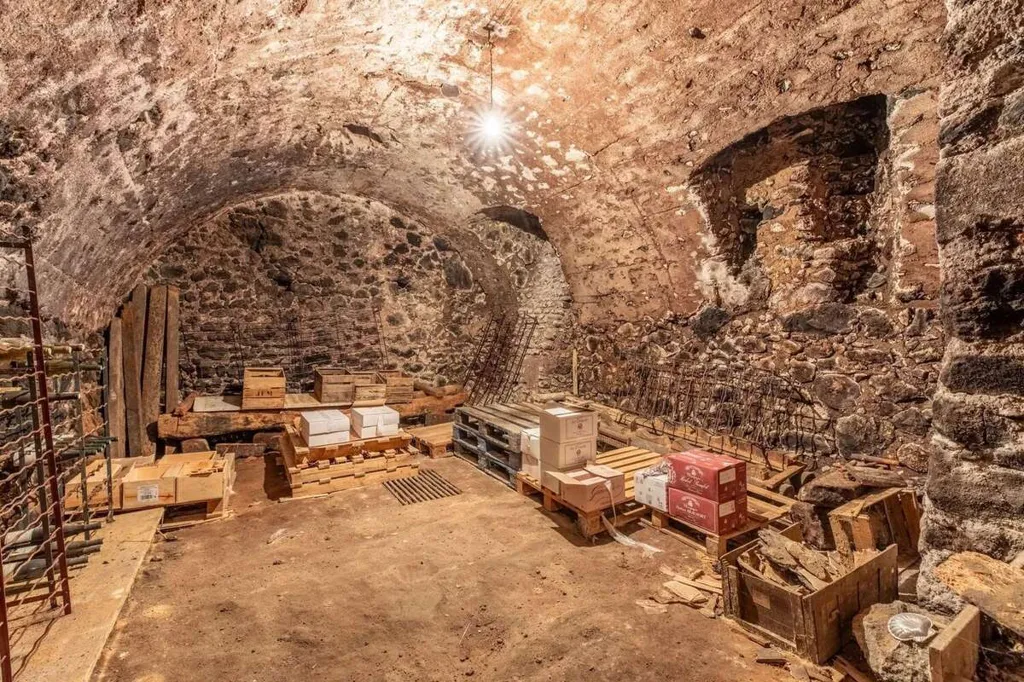 Toad - Duplex Apartment with Vaulted Cellar in Saint-Amant-Tallende