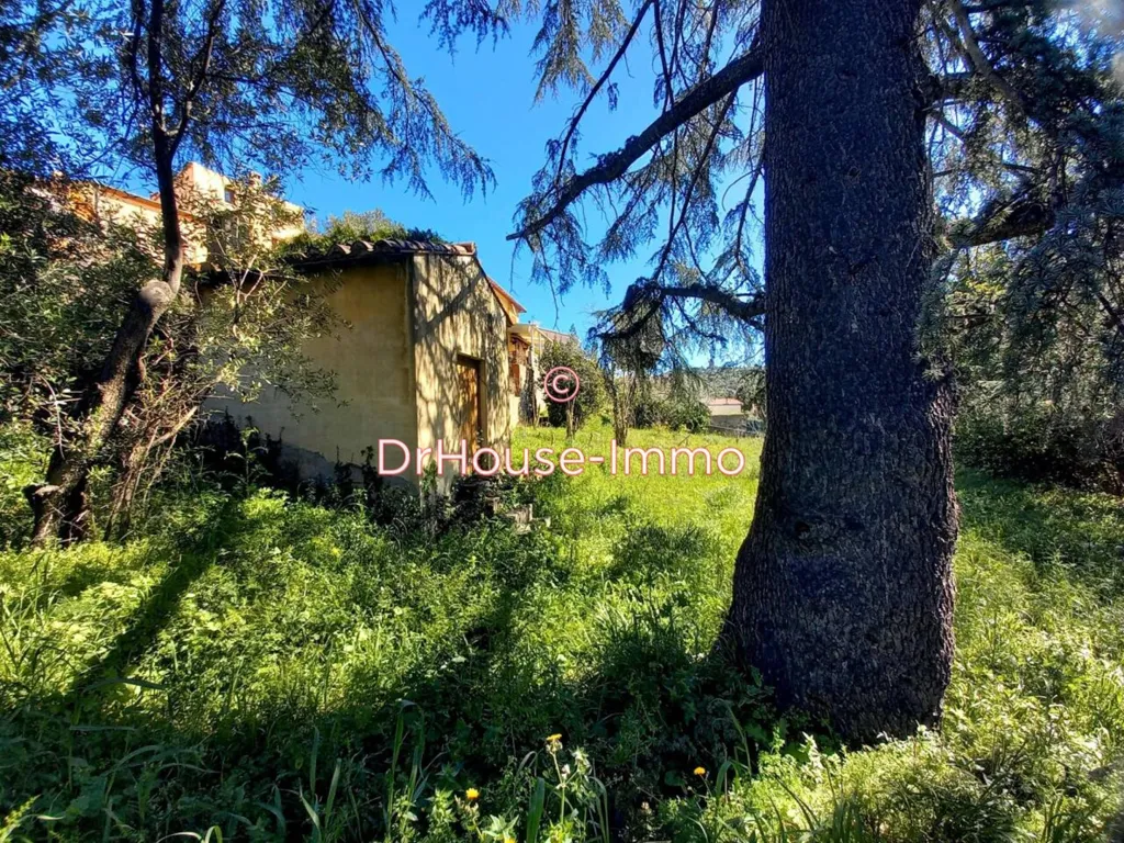 Aed - Buildable Plot with Sea View in Collioure