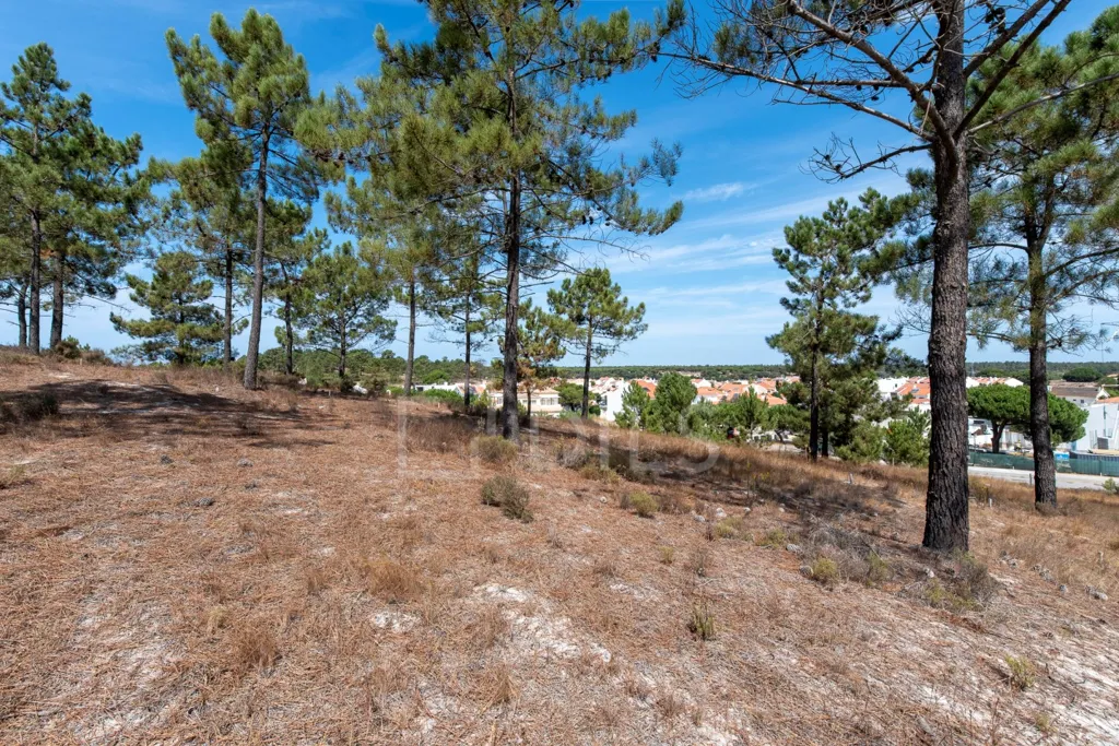 Garden - Plot with Potential for Villa in La Reserve, Carvalhal