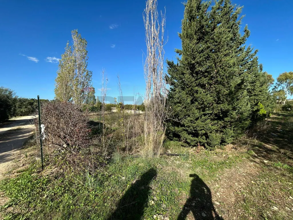 Jardin - Agricultural Land near Priolo Gargallo