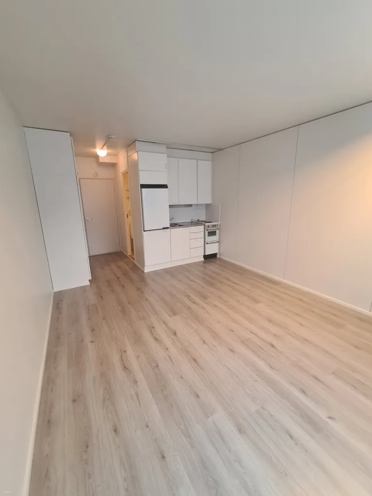 Cucina - Modernised Studio Flat in Mukkula, Lahti