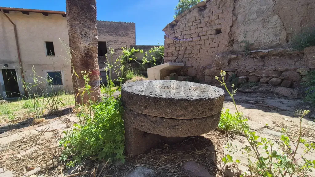Aed - Rustic House with Olive Grove in Allai