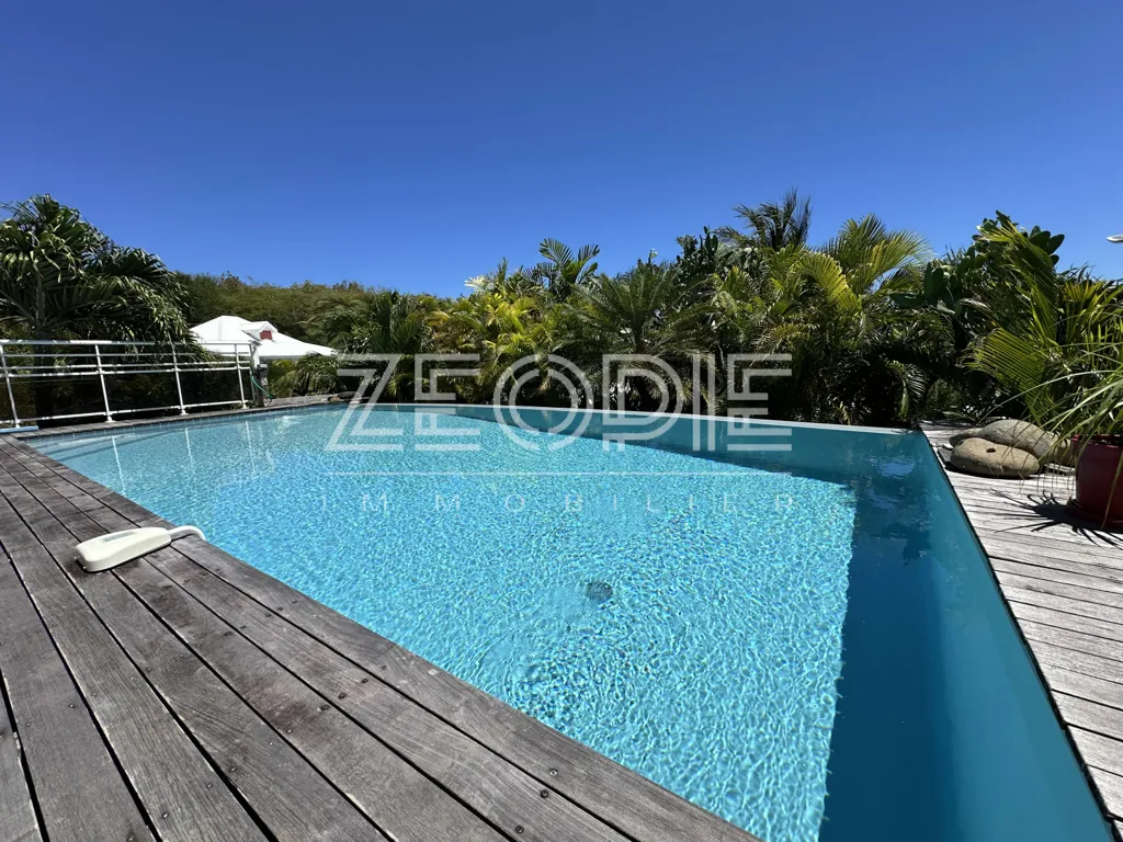 Piscine - Villa d'Architecte avec Piscine à Saint-François