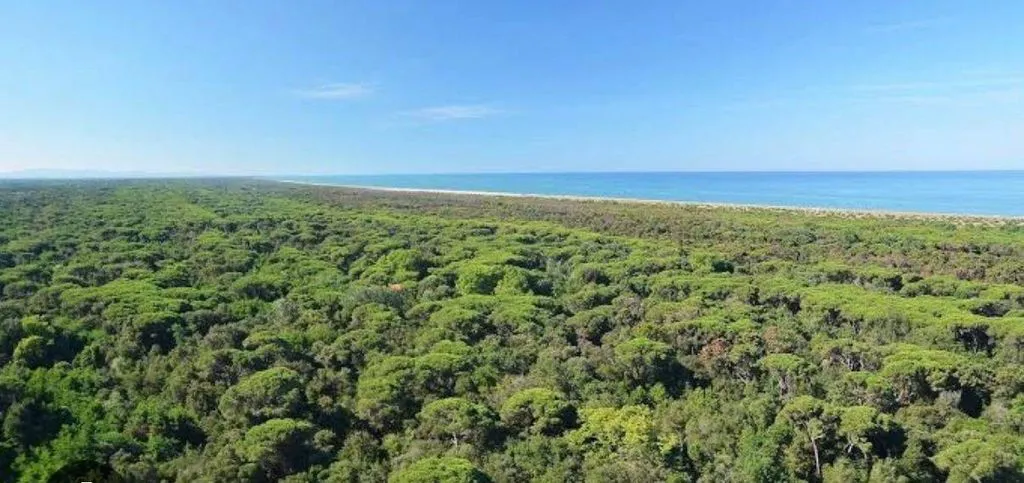 Luxury Villa to be Restructured in Viareggio