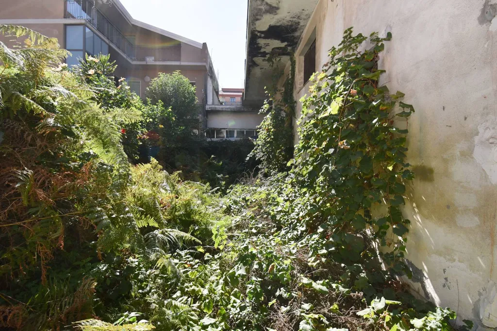 Jardin - Commercial Space with Garden in Giarre