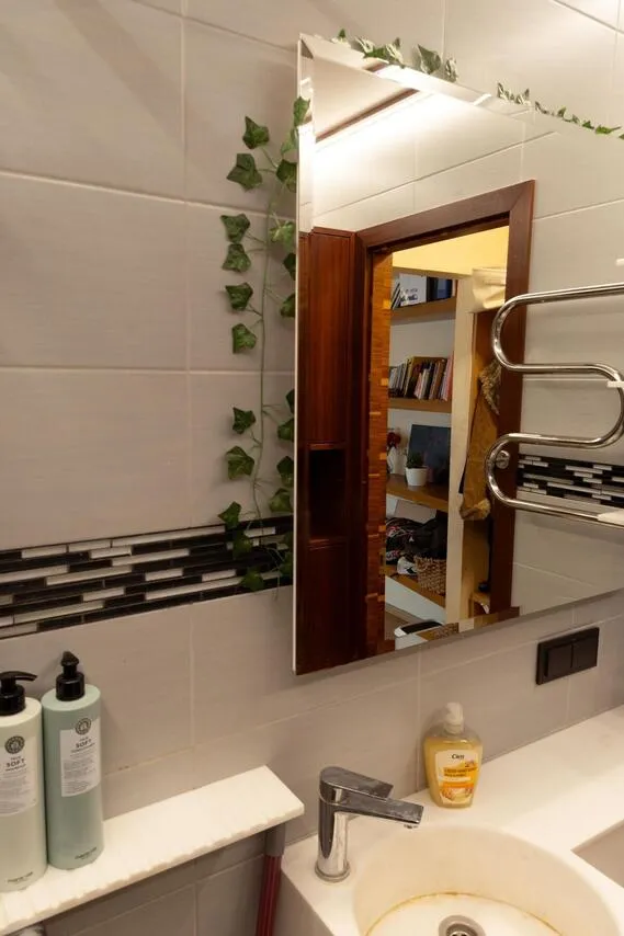 Vannitoad - Remodelled Apartment in Nõmme, Tallinn