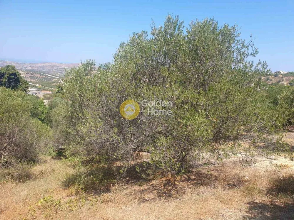 Aed - Plot with Sea View in Stamnoi