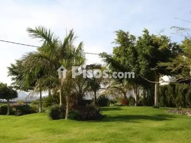 Jardin - Chalet with Traditional Canarian Style in Lanzarote