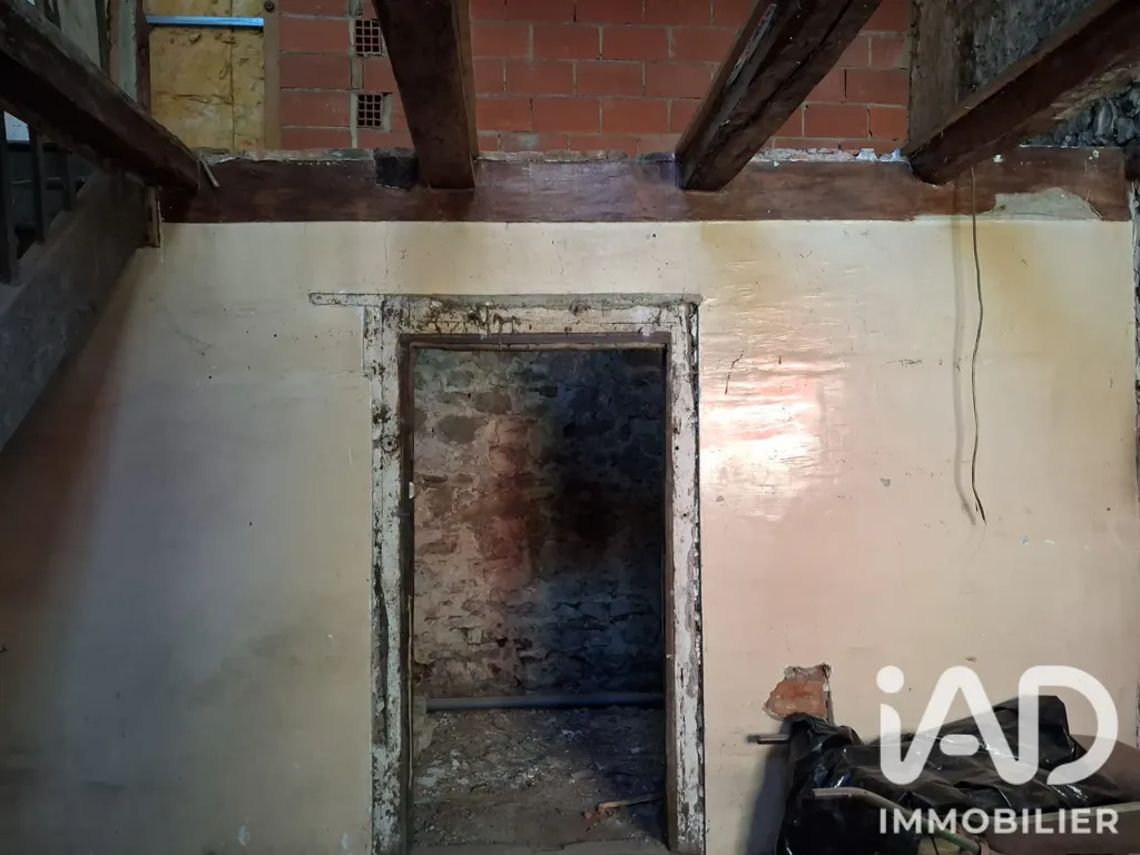 Toad - Village House for Renovation in Cazals