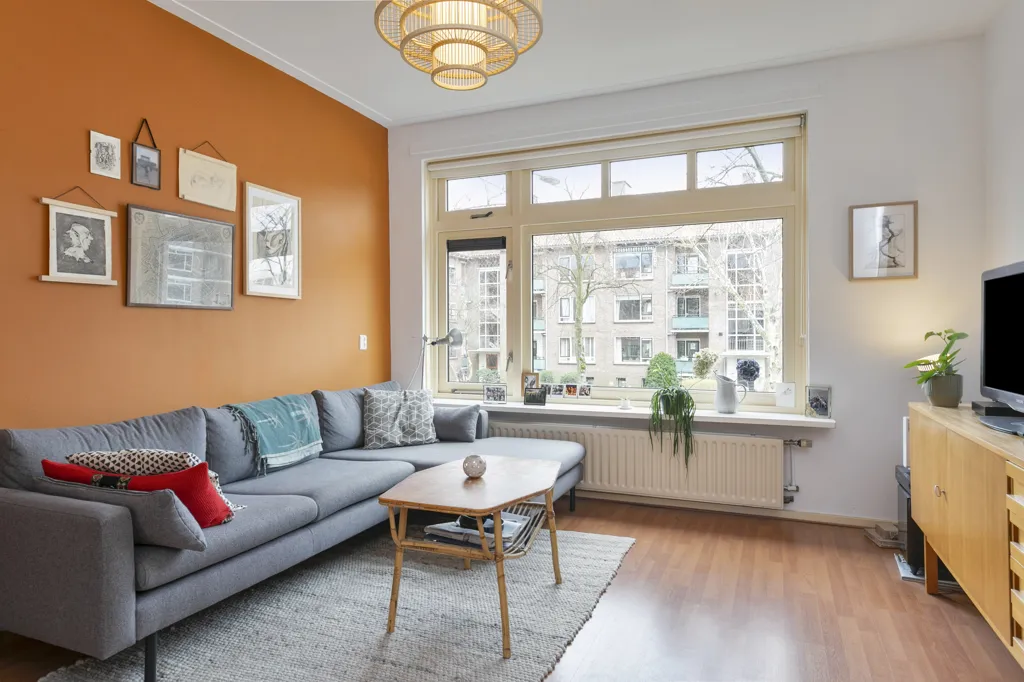 Soggiorno - Room for Rent in Leiden's Burgemeesterswijk