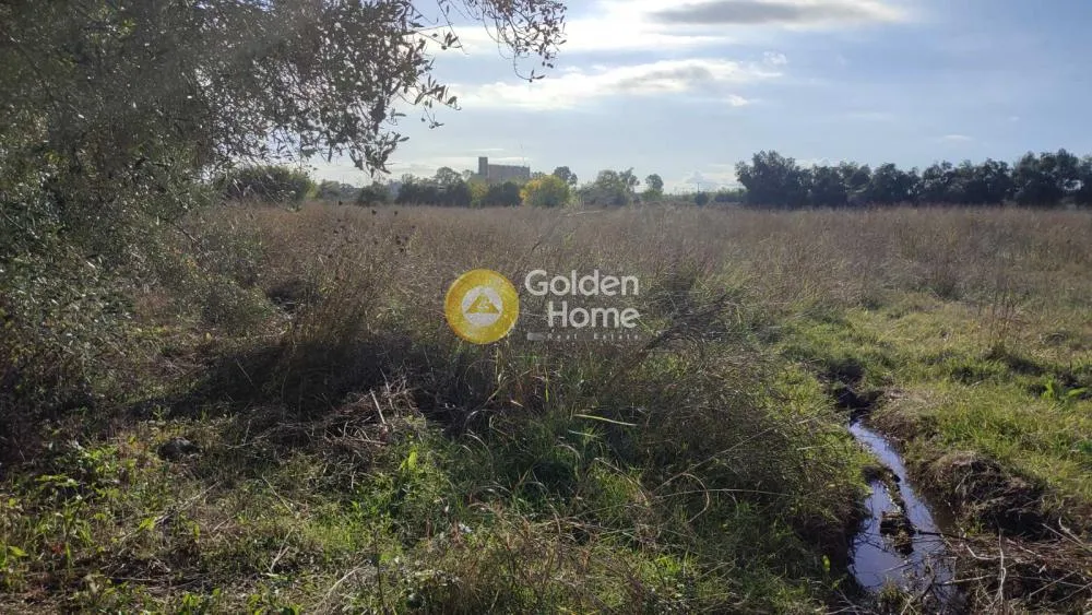 Garden - Agricultural Plot with Olive Trees in Gastouni Centre