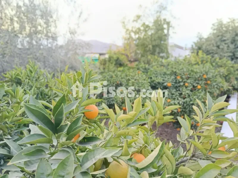 Giardino - Single-Storey Chalet with Garden in Lorca Centre