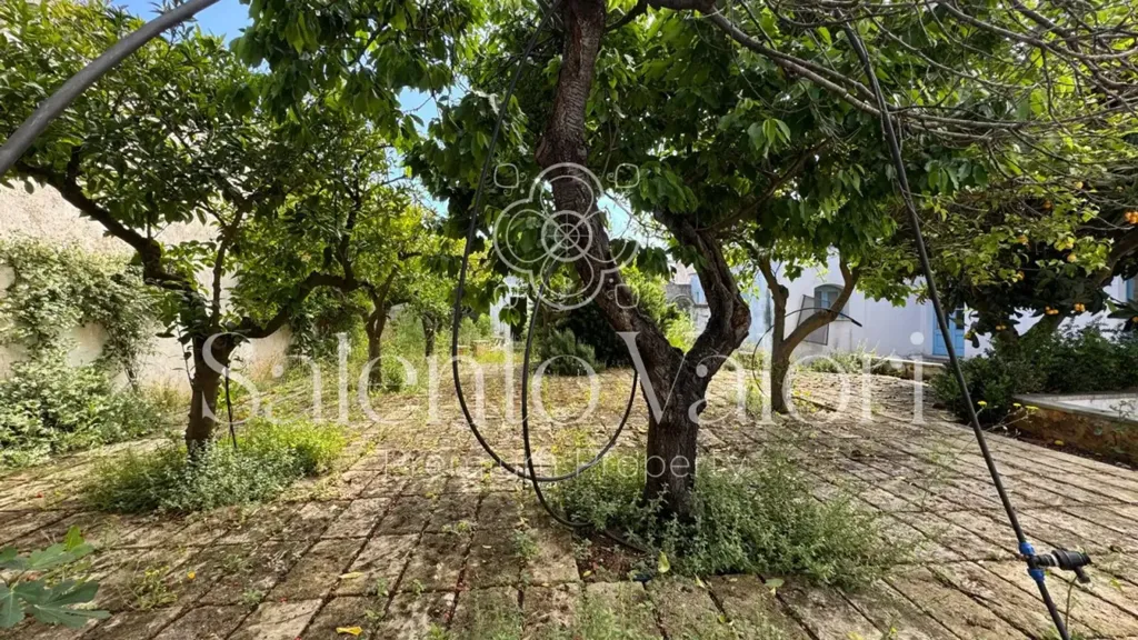 Jardin - Historic Villa with Garden in Taviano
